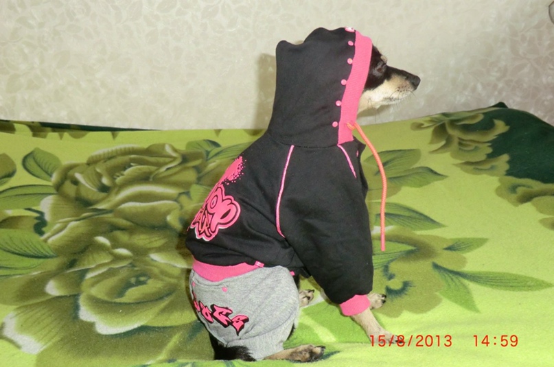 Шахин Мамедов ♥♥♥BaGiRa♥♥♥ | Москва