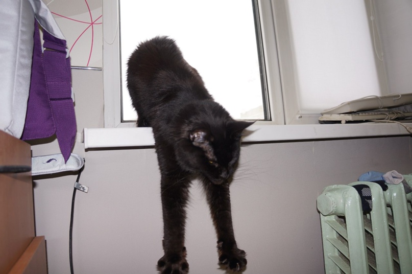 Павел Ларионов | Пермь