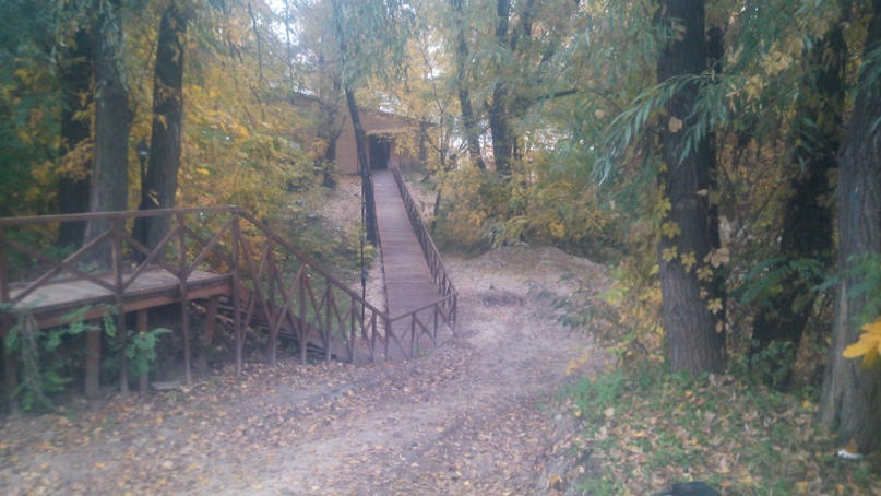 Сергей Донцов | Киев