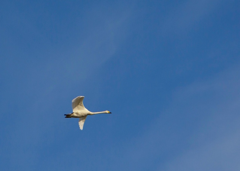 Максим Пермяков | Екатеринбург