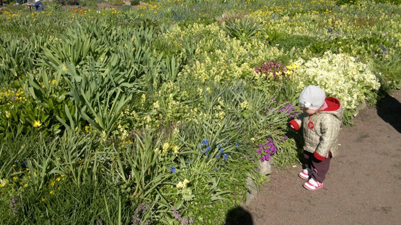 Игорь Николаевич Ga | Санкт-Петербург