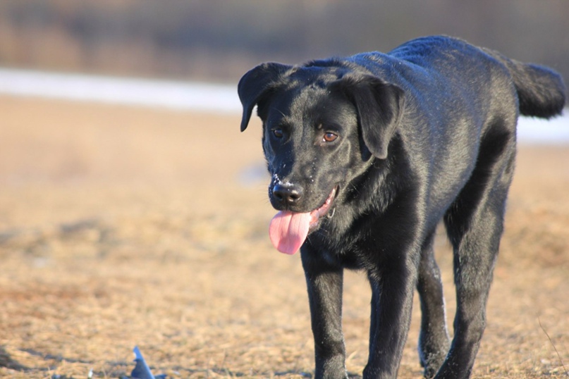 Ольга Ильина | Псков