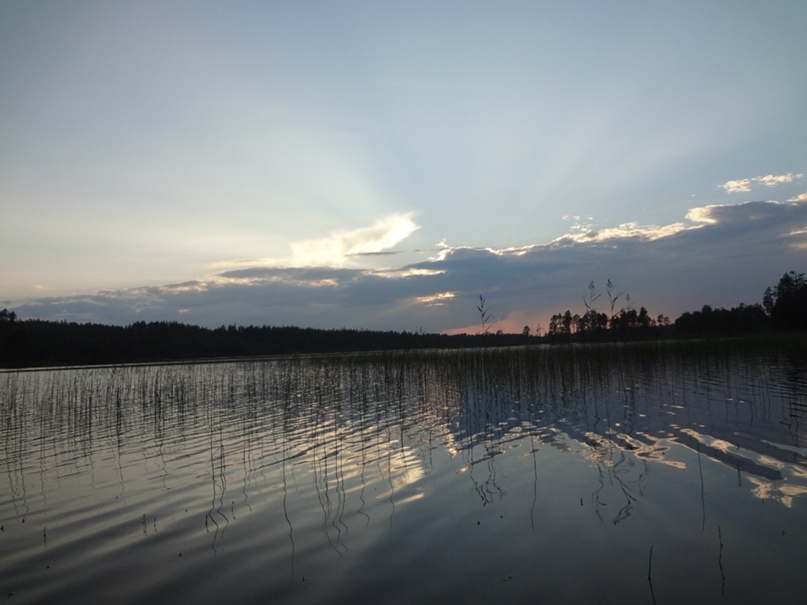 Александра Антонюк |