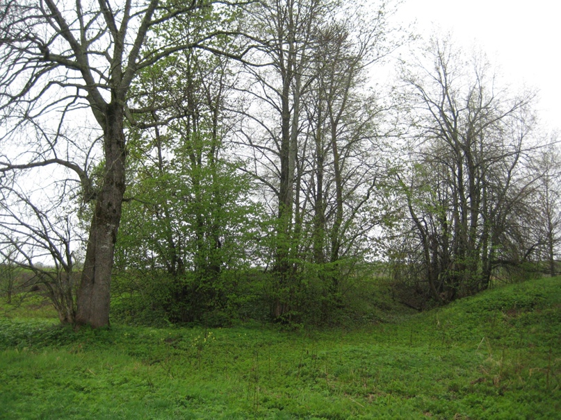 Любовь Яковлева | Санкт-Петербург