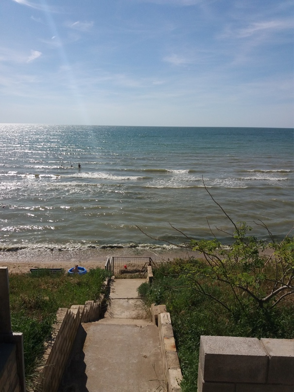 Елена Мозговая | Санкт-Петербург