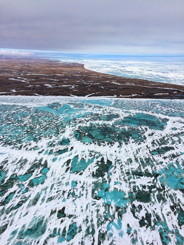 Игорь Демидов | Тюмень