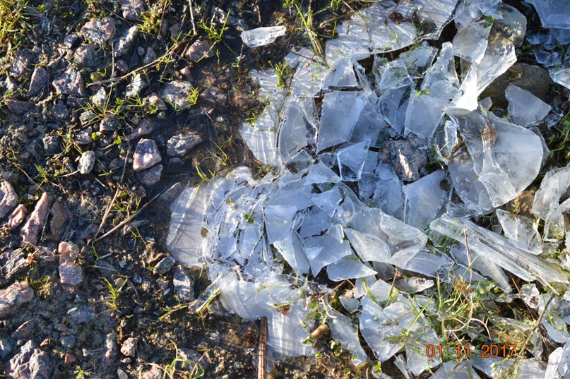 Юльчик Трифонова | Санкт-Петербург