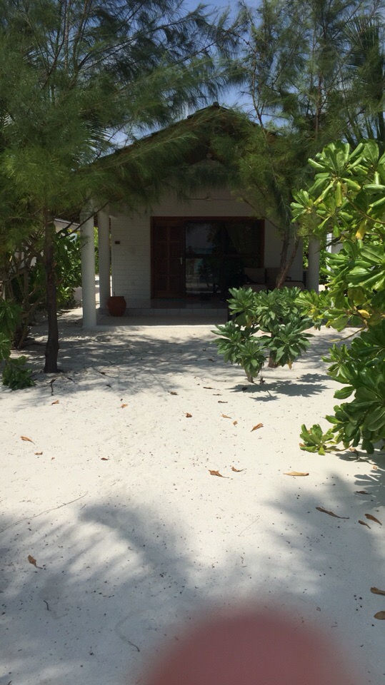 Василий Горелов | Москва