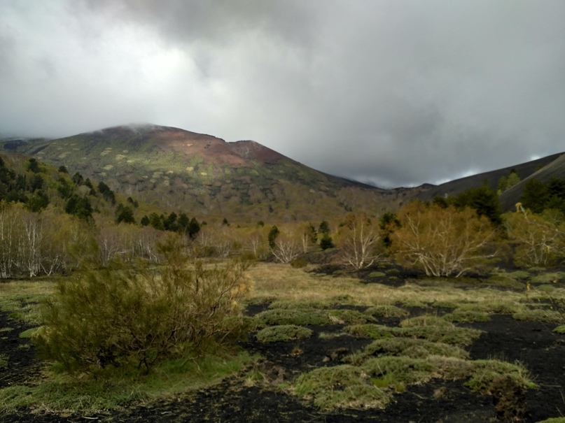 Sergey Popov | Санкт-Петербург