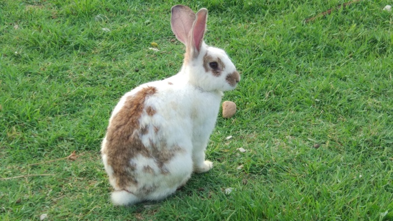 Сергей Третьяков | Екатеринбург