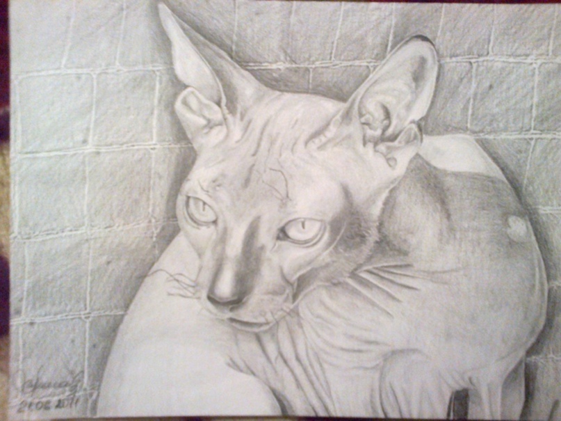 Марина Шаврина |