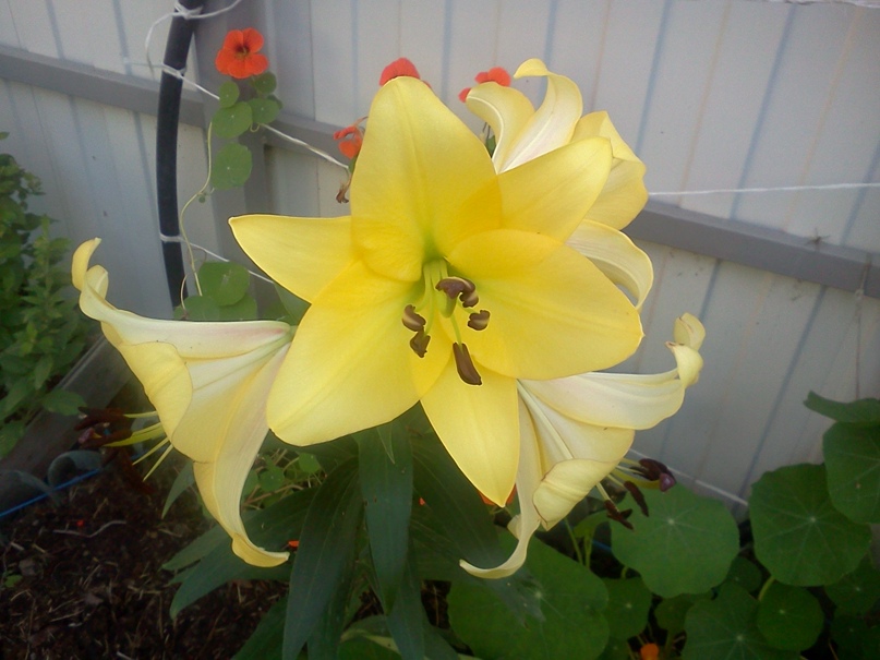 Ольга Андреева | Санкт-Петербург