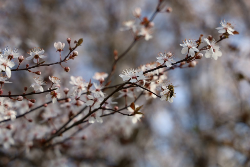 Ваня Решетников | Москва