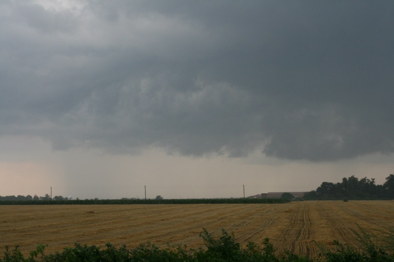 Николай Алмазов |