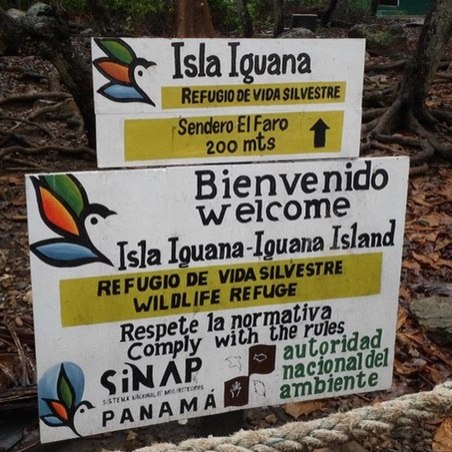 Ольга Азарова | Набережные Челны