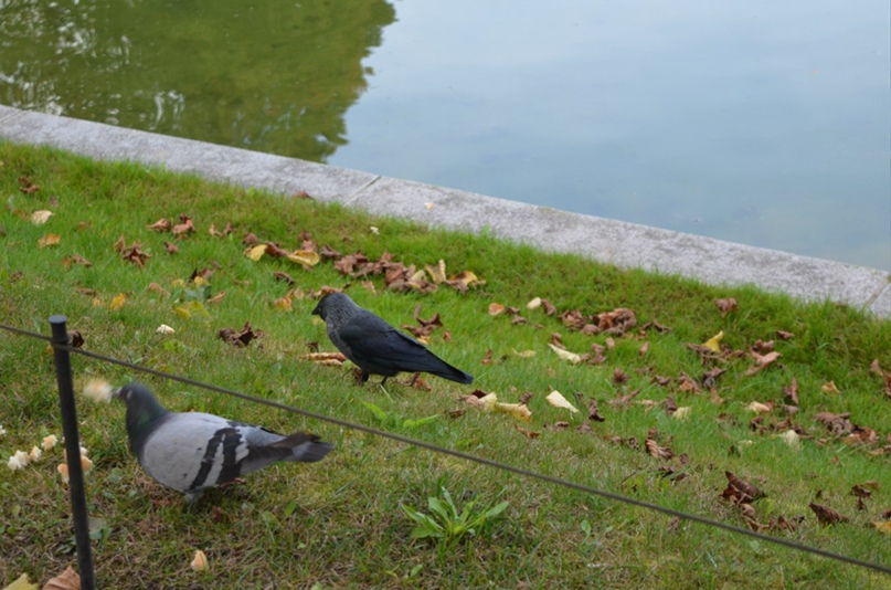 Анастасия Максименкова | Новосибирск