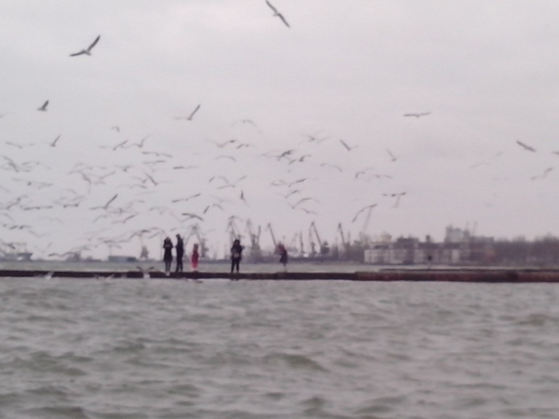 Олег Олейников | Мариуполь