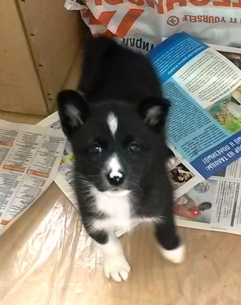 Татьяна Стоянова | Первоуральск