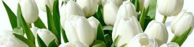 Елена Мысик | Одесса
