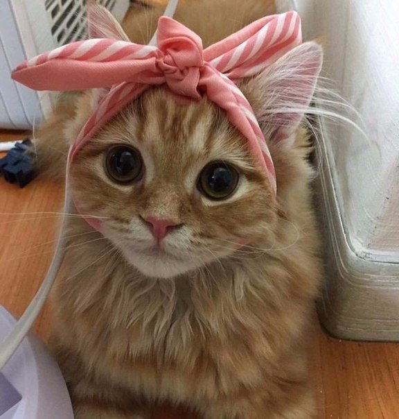 Ольга Ким | Витебск