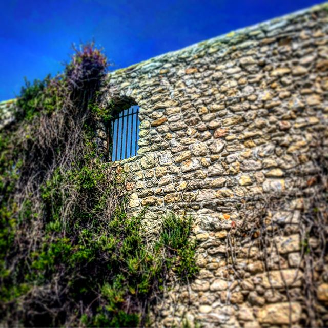 Рустам Мусин | Москва