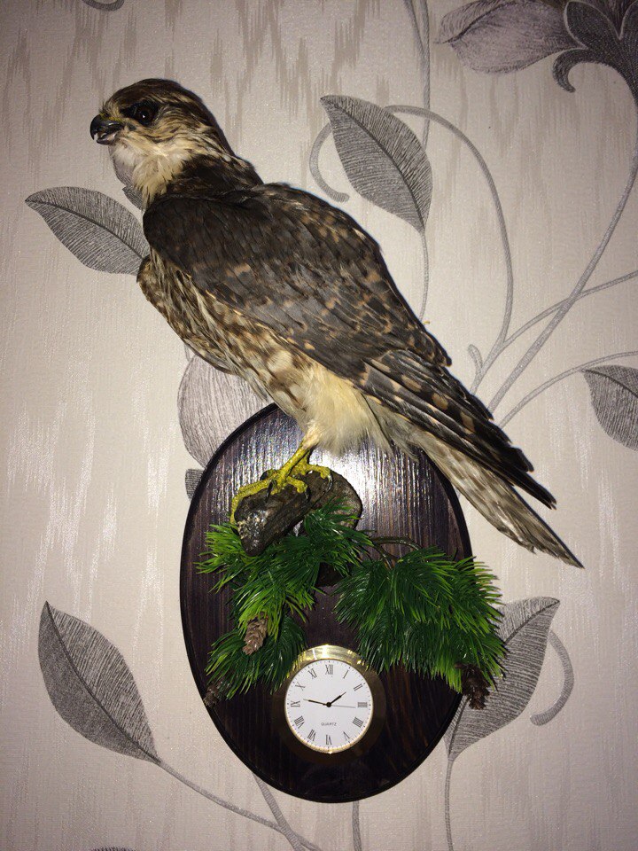 Евгений Соломонов | Излучинск