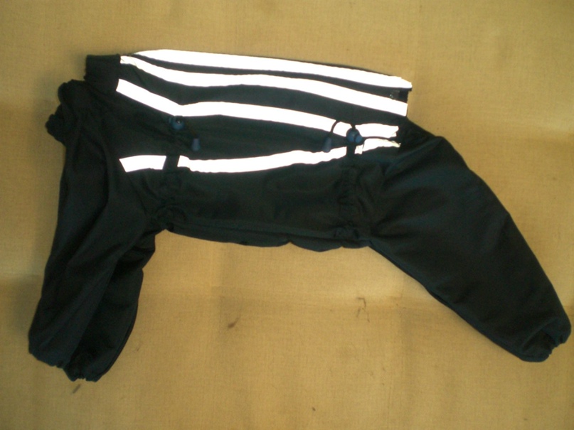 Анастасия Козлова | Пермь