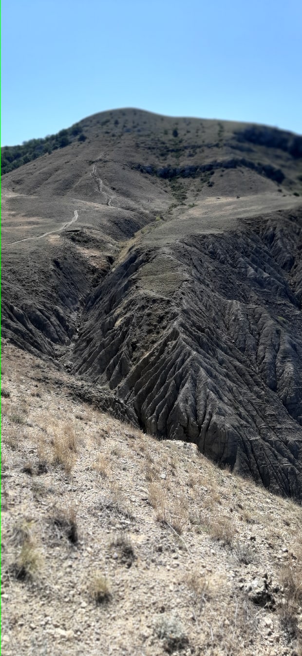 Семен Малышев | Санкт-Петербург