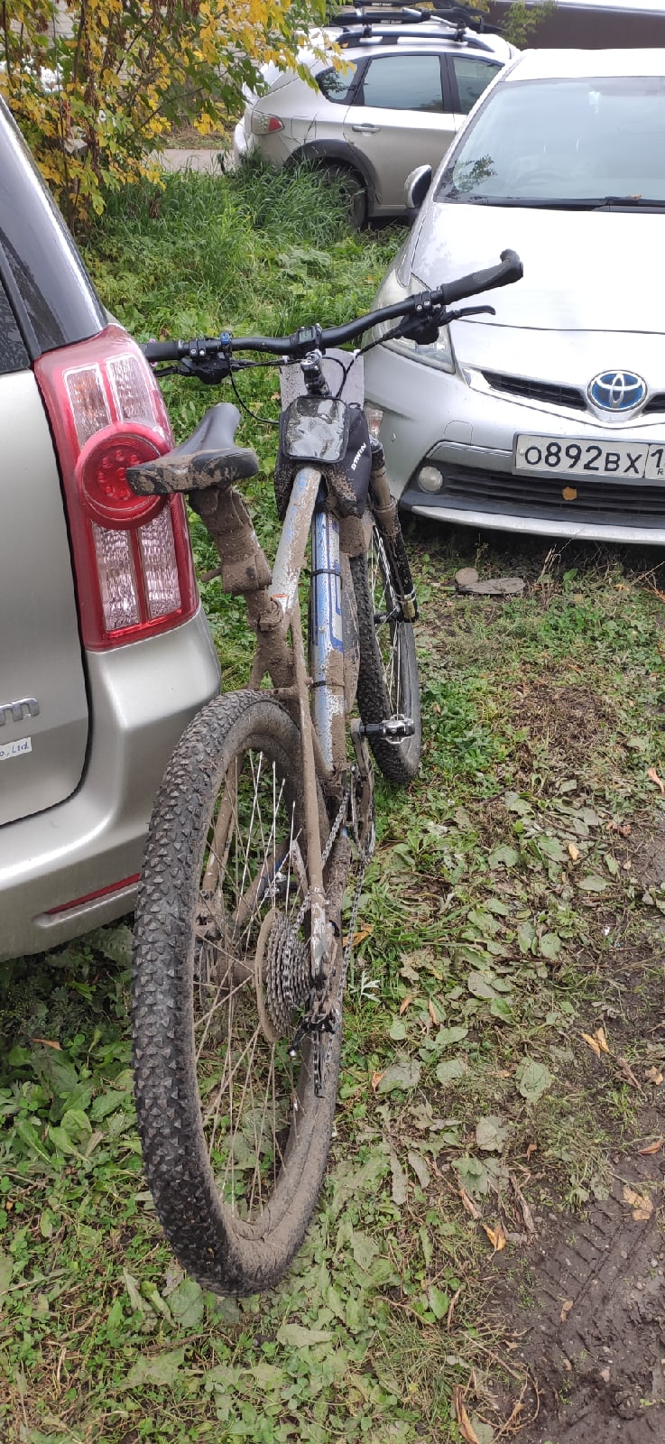 Петр Марков fox | Красноярск