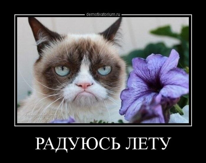 Андрей Матвеенко -AUX- | Краснодар
