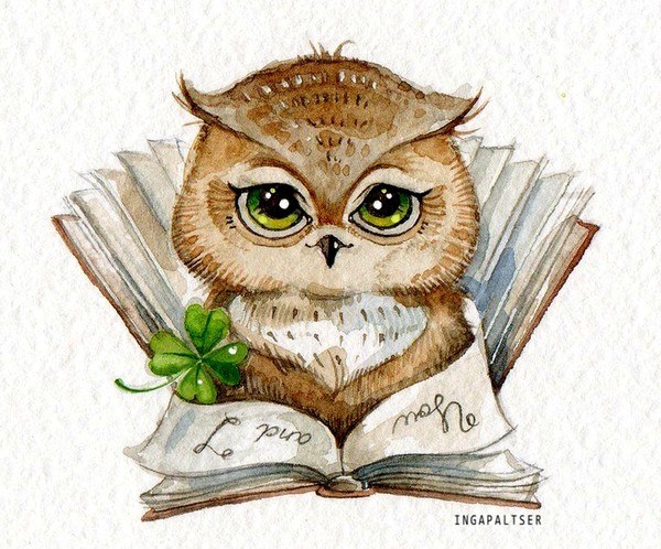 Ольга Шатрова | Кострома