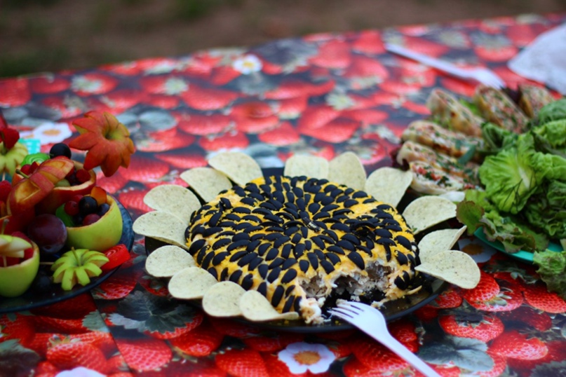 Дмитрий Губарев | Анишино