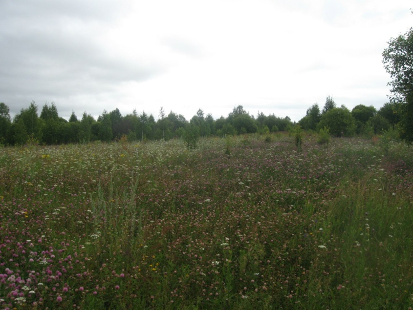 Галина Логвинова | Екатеринбург