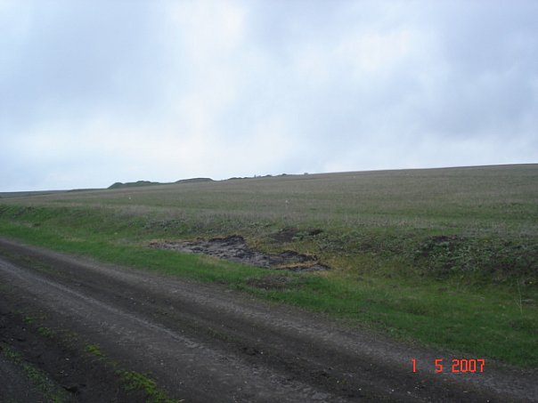 Александр Дрёмов | Воронеж
