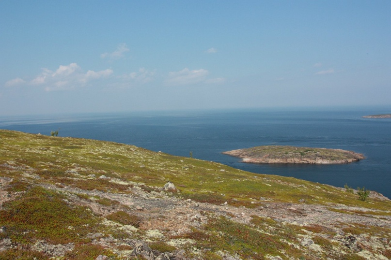 Михаил Захаров ПолуПлюшевый | Иваново