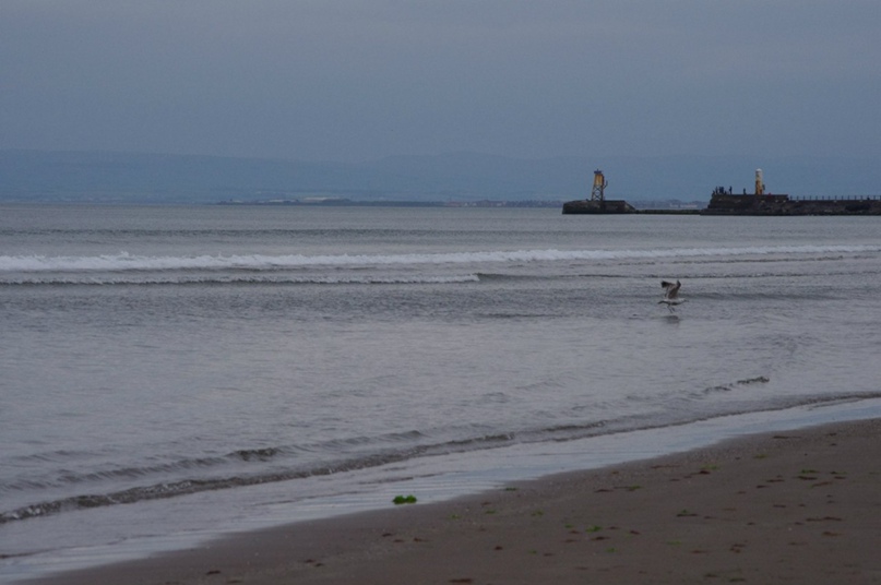 Катя Мельникова | Ayr