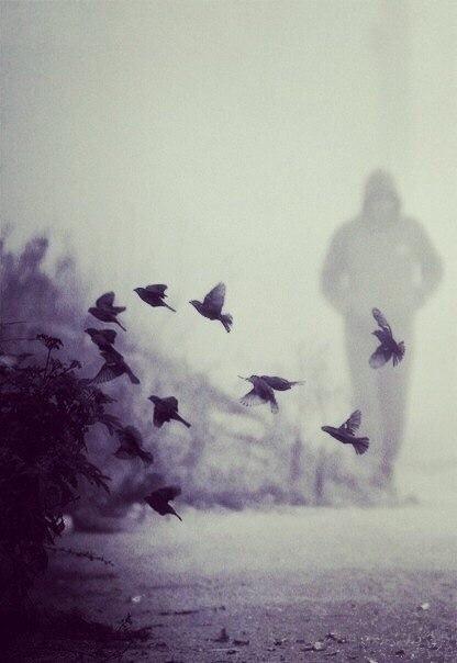 Юля Кирсанова |