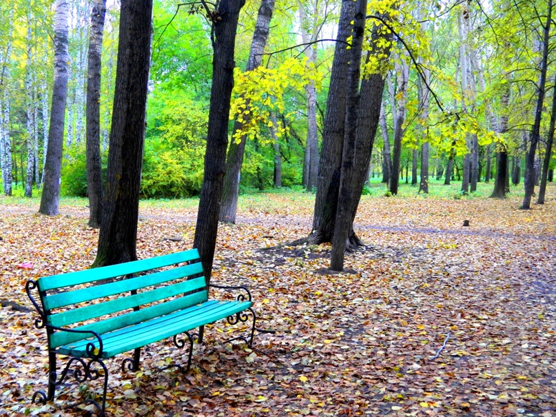 Татьяна Рябухина | Екатеринбург