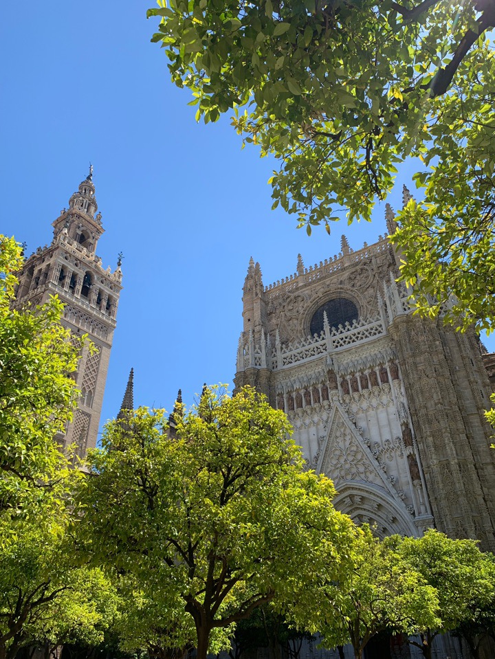Альбина Галлямова | Санкт-Петербург