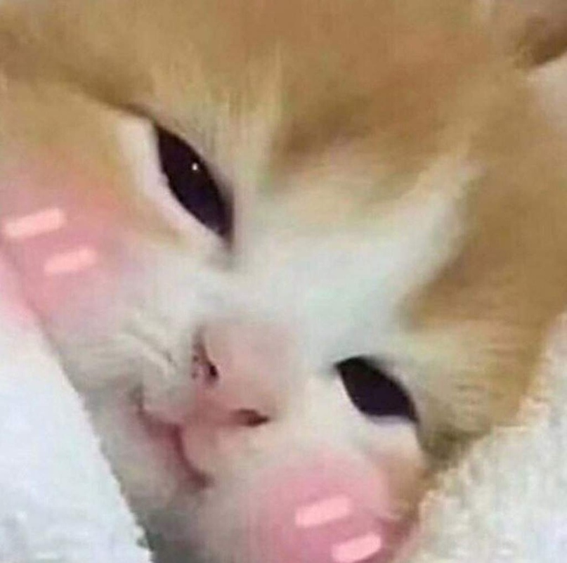 Александр Кусь | Санкт-Петербург