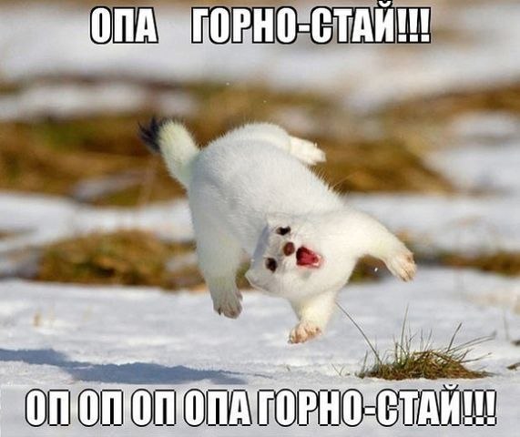 Александр Миллер | Москва