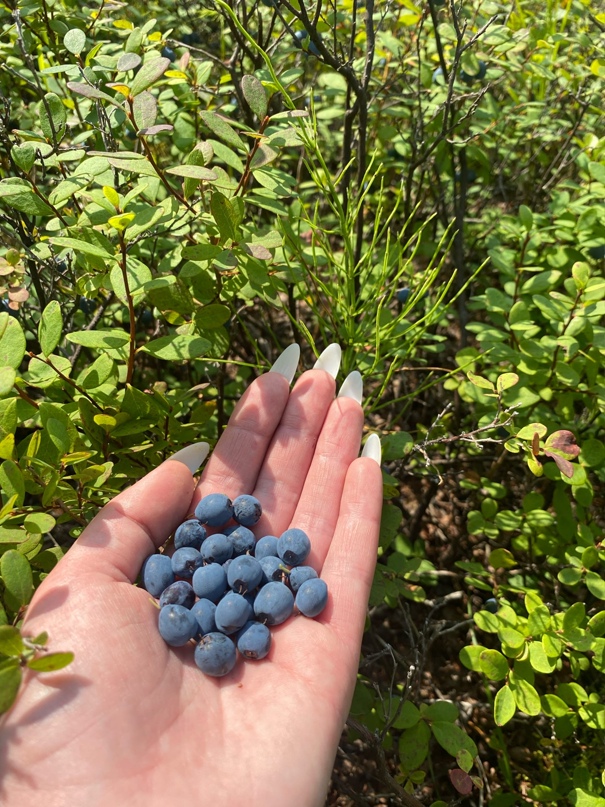 Ксения Жданова | Чита