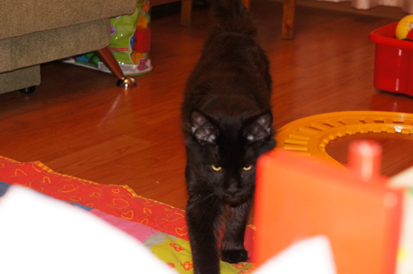 Павел Ларионов | Пермь