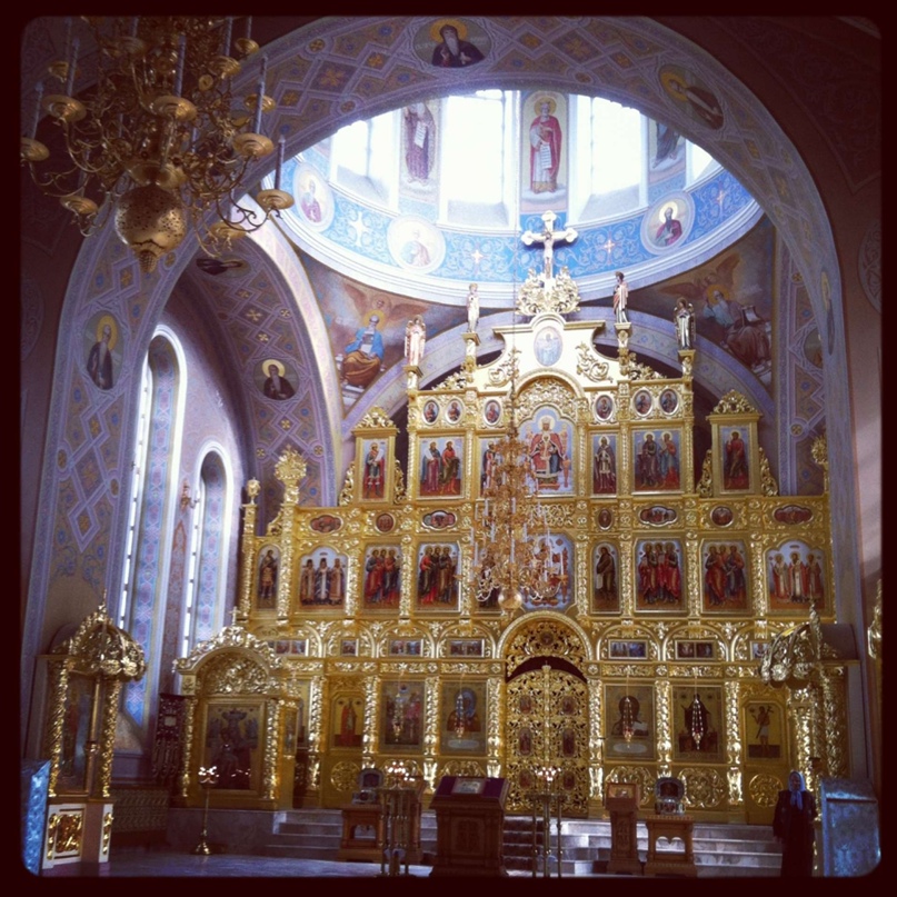 Евгения Дорохова |