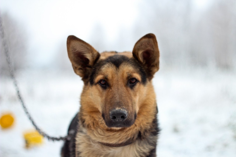 Дмитрий Белозеров | Москва