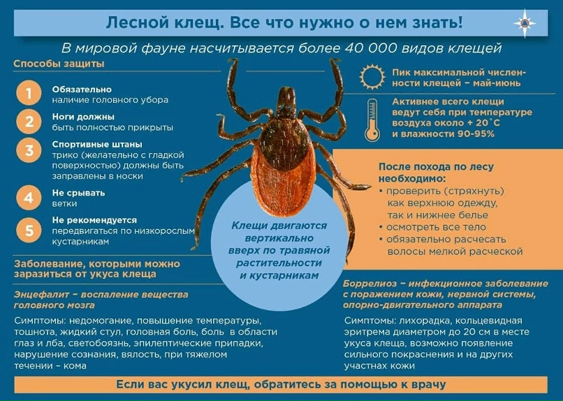Татьяна Аллянова | Донецк