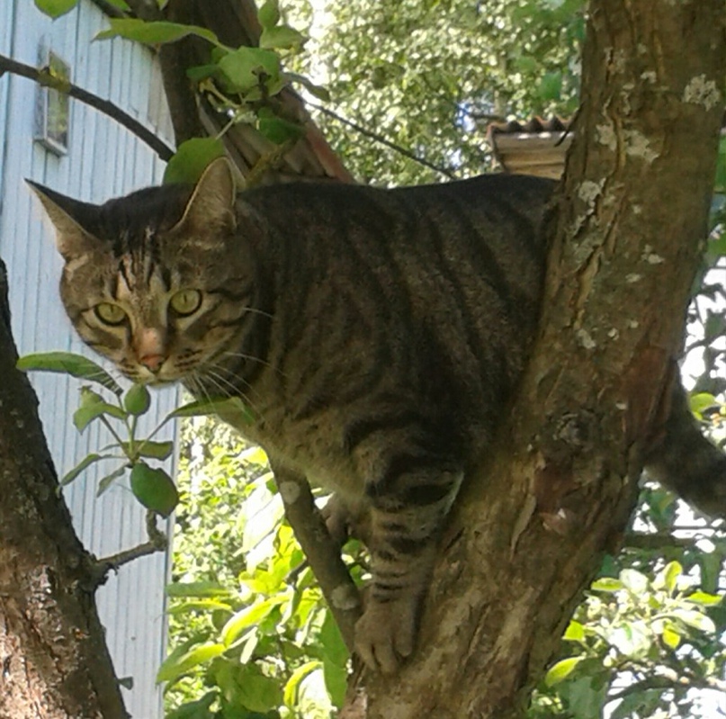 Людмила Серова | Санкт-Петербург