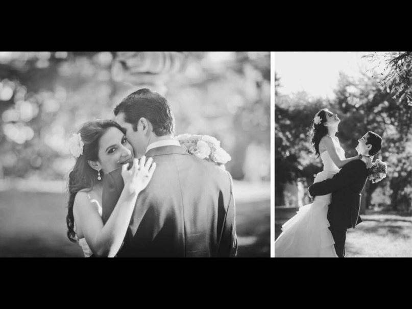 Ксения Шорец | Москва