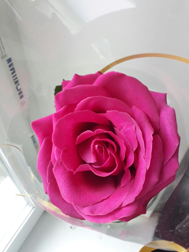 Алёна Есина | Николаев