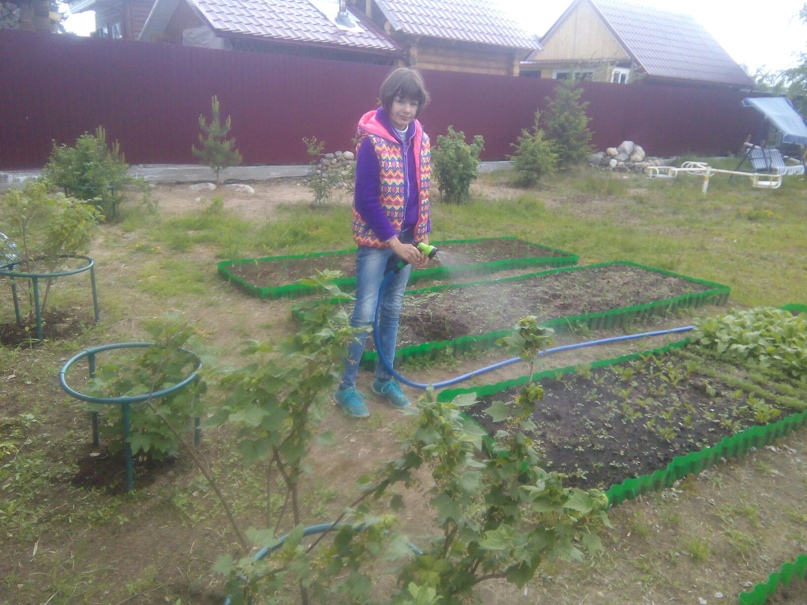 Дмитрий Ефимов | Петрозаводск